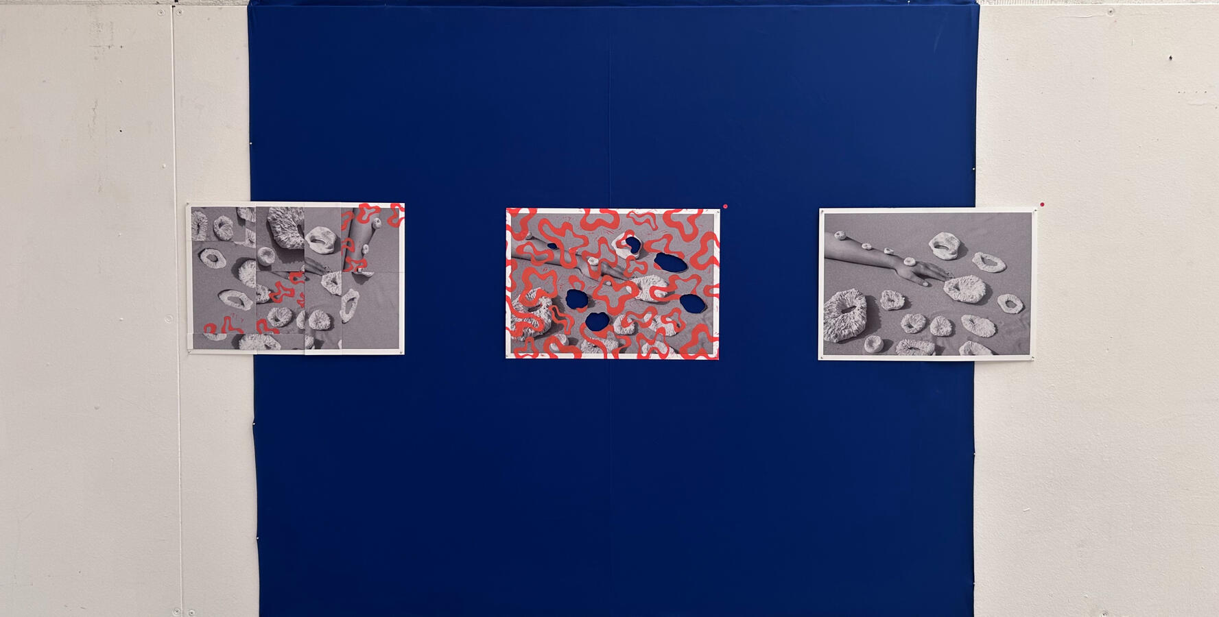 Untitled Untitled